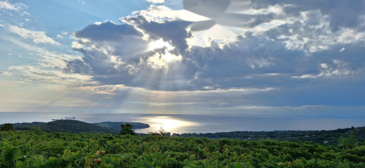 Квартира в Копере, Словения, 93 м² - фото 2