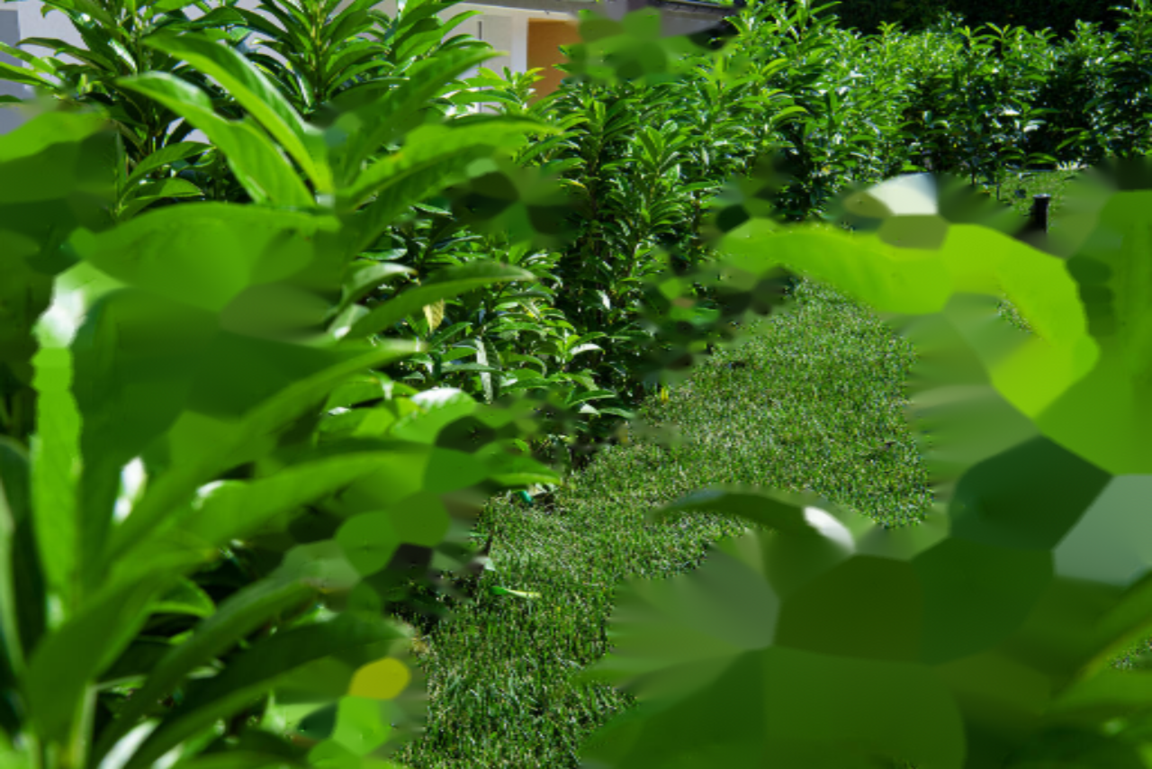 Квартира в Изоле, Словения, 162 м² - фото 17