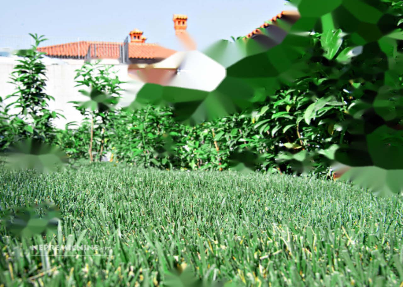 Квартира в Изоле, Словения, 162 м² - фото 18