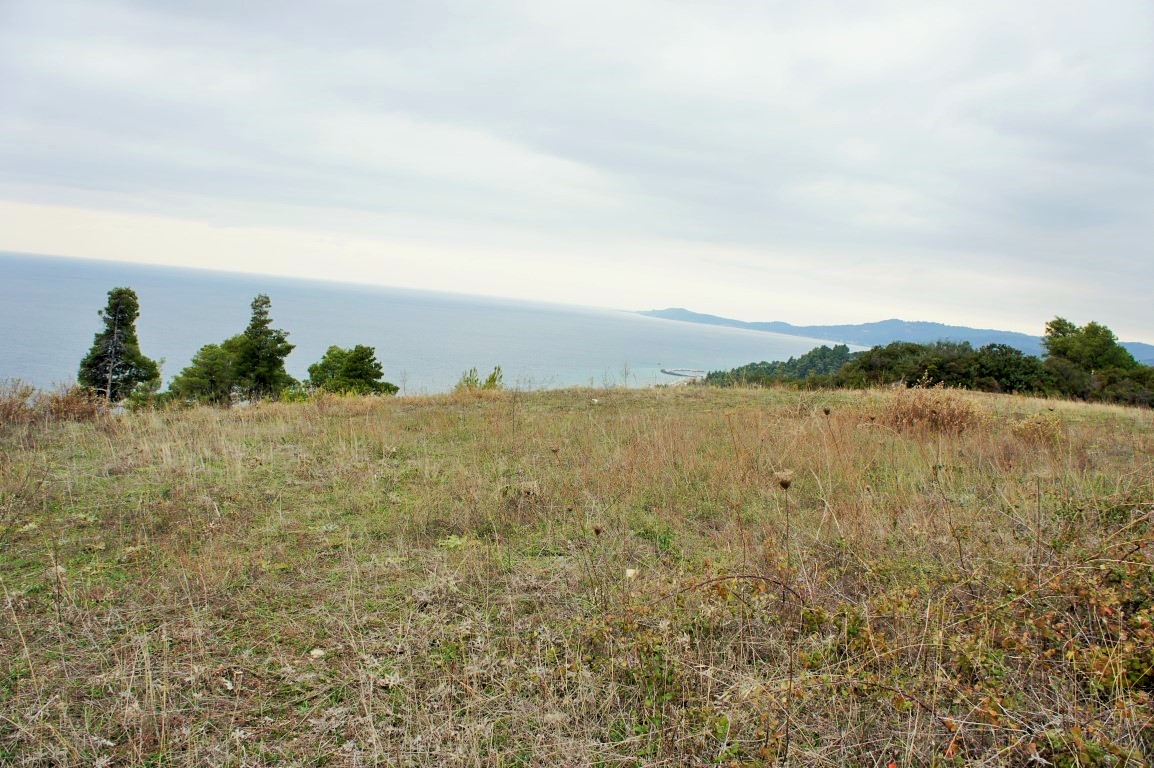 Земля на Кассандре, Греция, 55 000 м² - фото 1