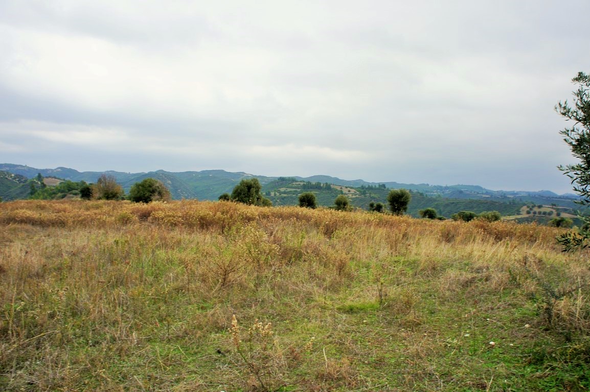 Земля на Кассандре, Греция, 55 000 м² - фото 7