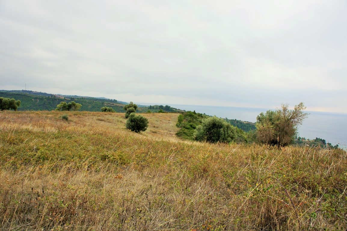 Земля на Кассандре, Греция, 55 000 м² - фото 9