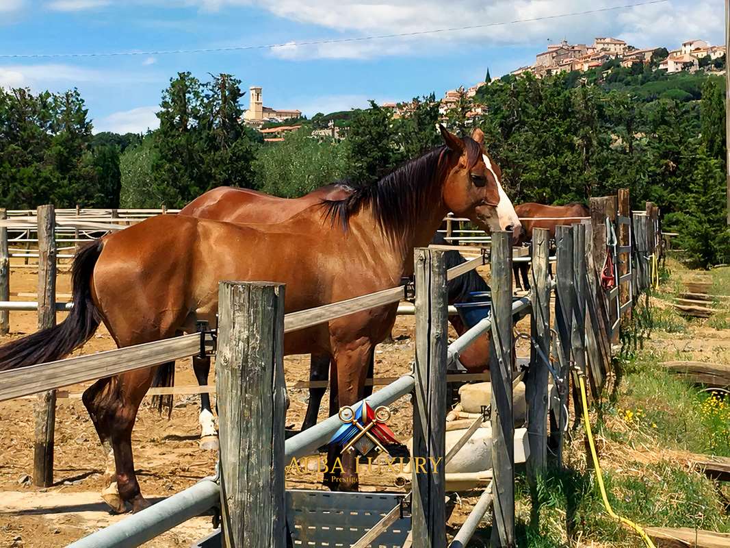 Вилла в Розиньяно Мариттимо, Италия, 1 220 м² - фото 6