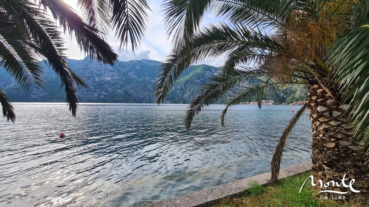 Земля в Рисане, Черногория, 1 800 м² - фото 5