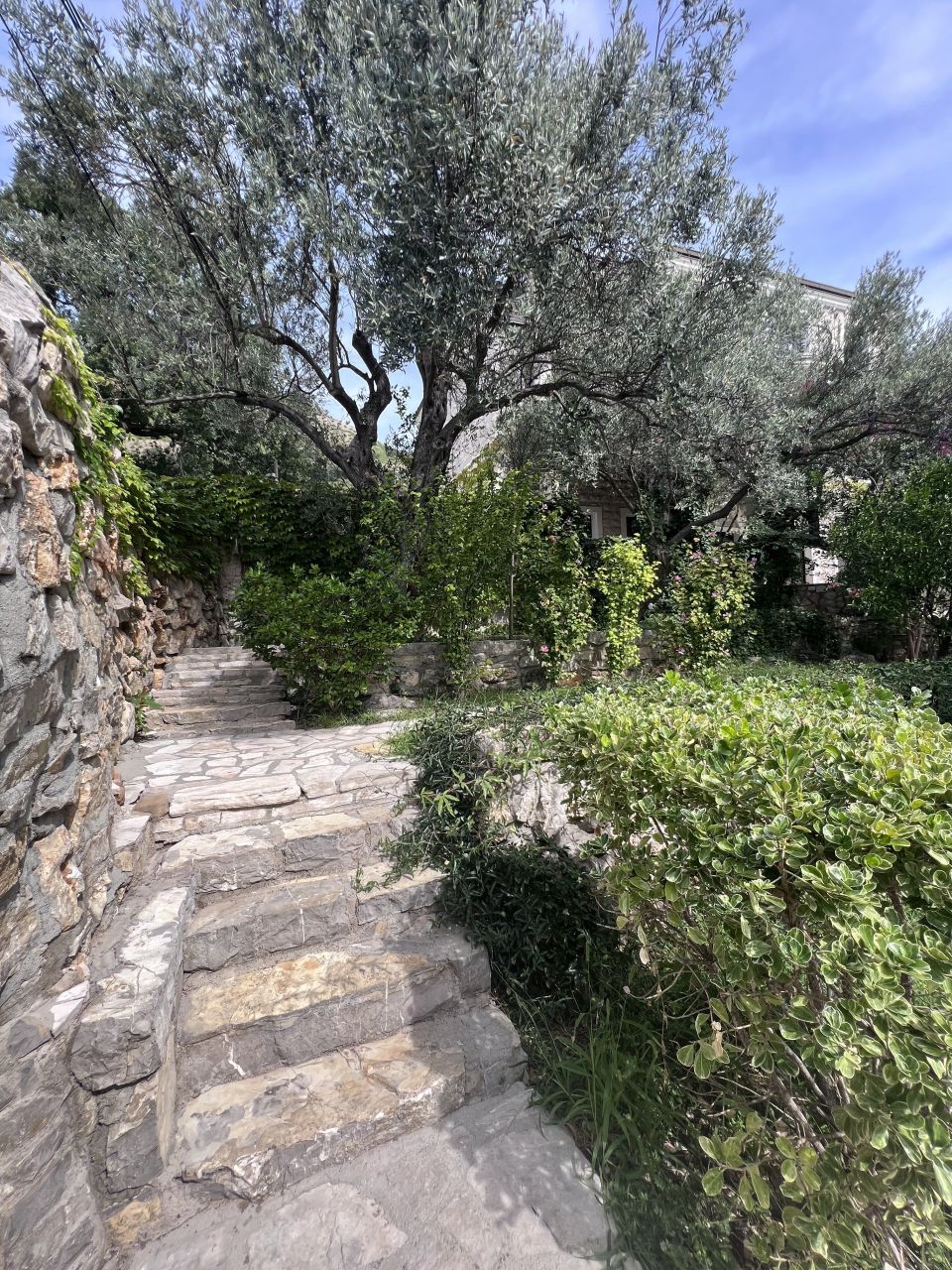 Вилла в Режевичах, Черногория, 550 м² - фото 7