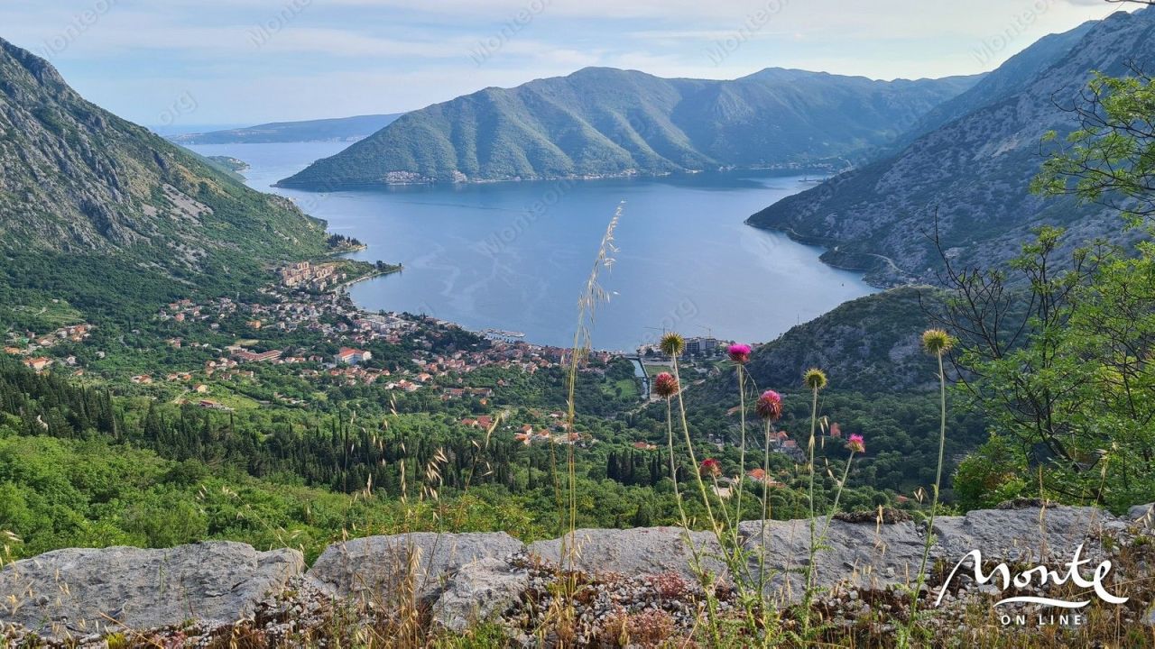 Земля в Рисане, Черногория, 1 800 м² - фото 11