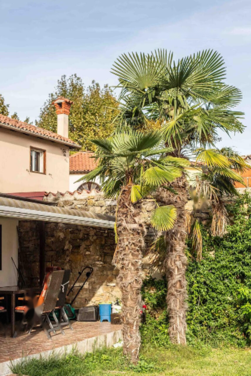 Дом в Копере, Словения, 110 м² - фото 6