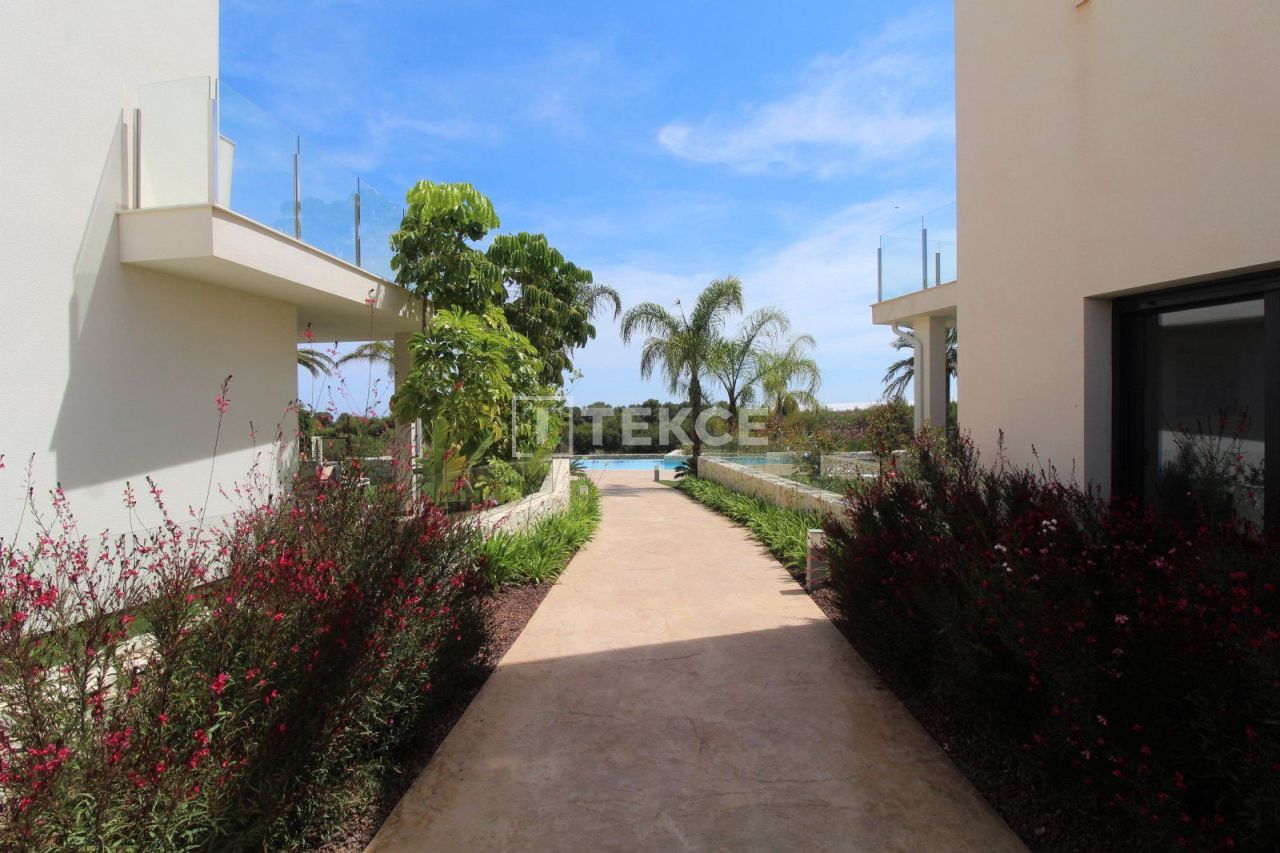 Апартаменты в Пилар-де-ла-Орадада, Испания, 98 м² - фото 12