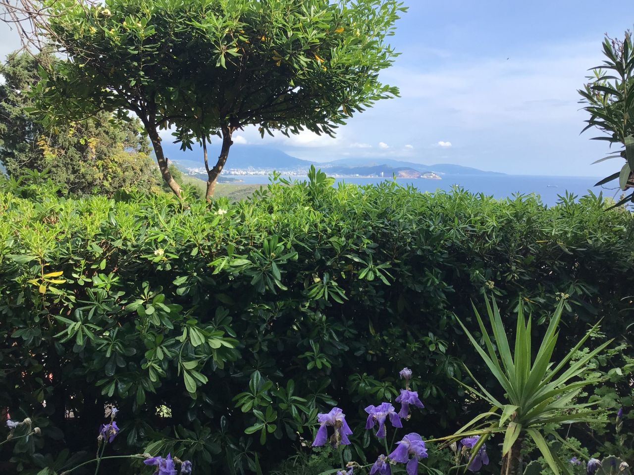 Дом под реконструкцию в Сутоморе, Черногория, 260 м² - фото 9