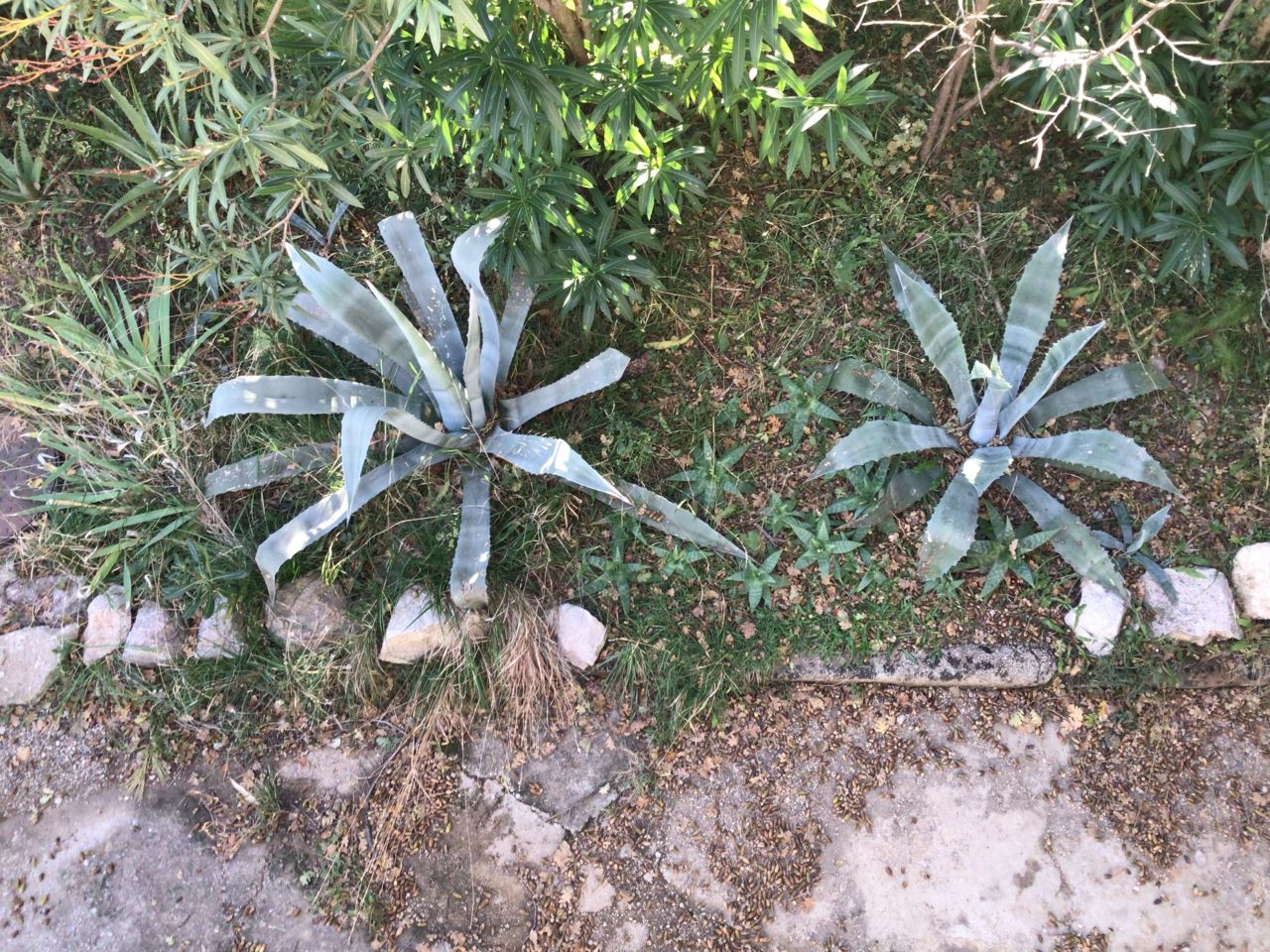 Дом под реконструкцию в Сутоморе, Черногория, 260 м² - фото 13