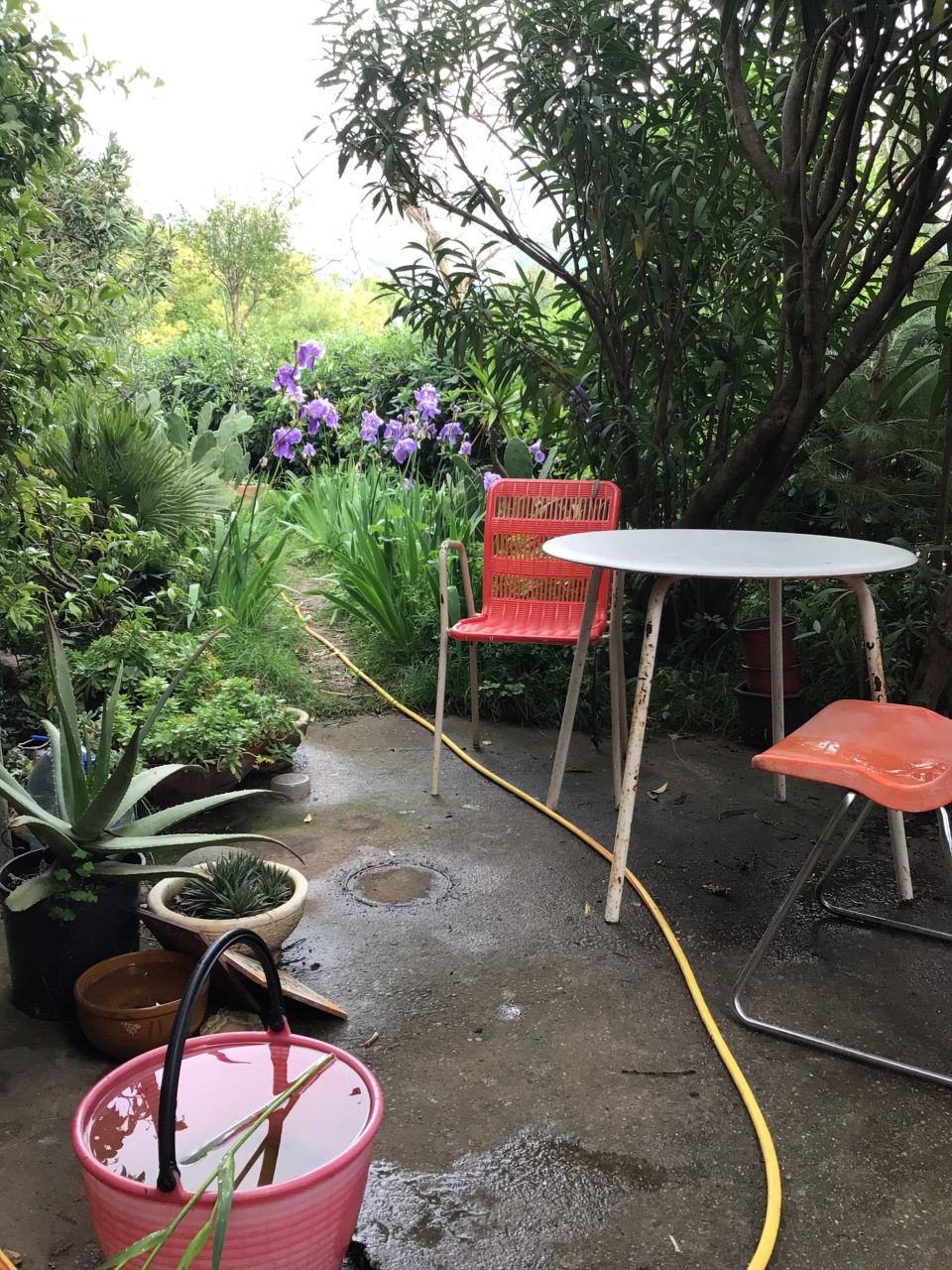 Дом под реконструкцию в Сутоморе, Черногория, 260 м² - фото 6