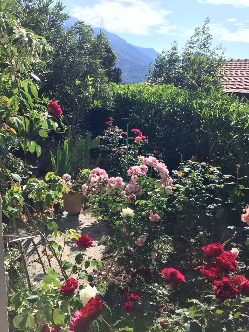 Дом под реконструкцию в Сутоморе, Черногория, 260 м² - фото 5