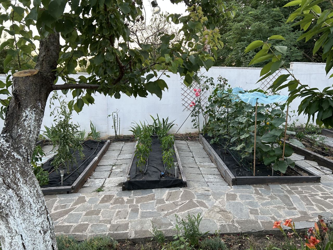 Коттедж в Поморие, Болгария, 123 м² - фото 4