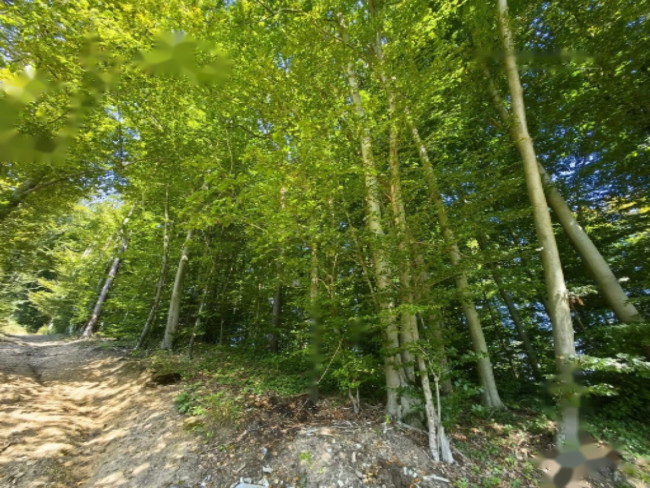 Дом в Любляне, Словения, 289 м² - фото 5