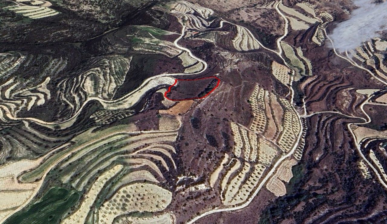 Земля в Пафосе, Кипр, 7 024 м² - фото 2