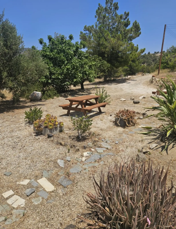 Дом в Пафосе, Кипр - фото 3