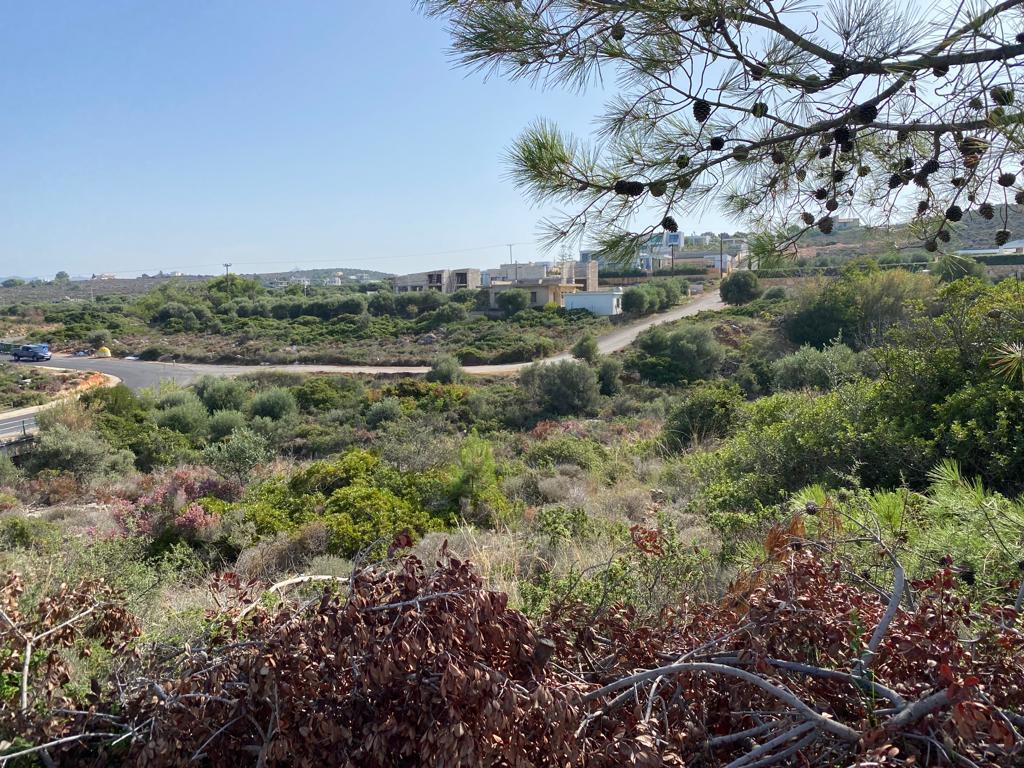 Земля в Ираклионе, Греция, 758 м² - фото 4