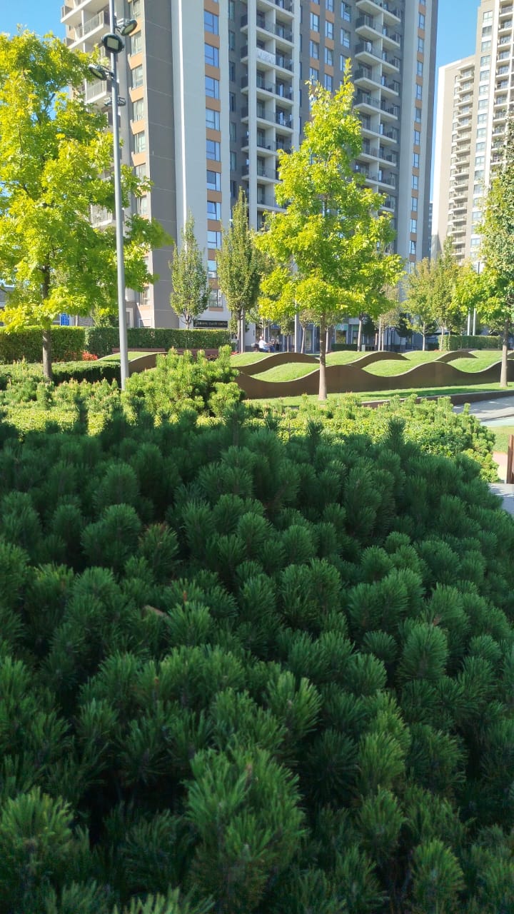 Квартира в Белграде, Сербия, 73 м² - фото 13