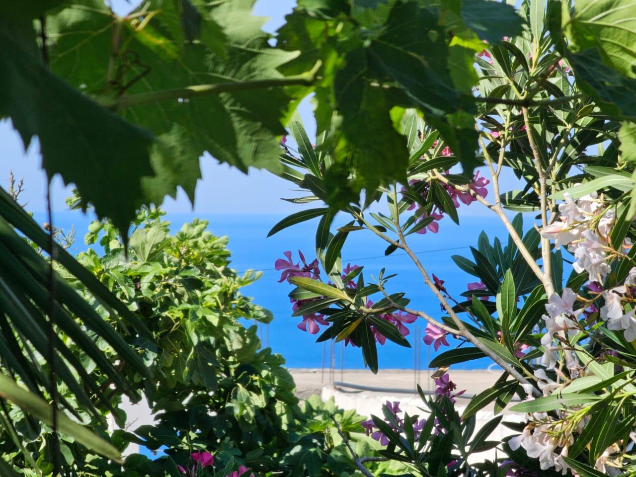 Дом в Баре, Черногория, 50 м² - фото 2