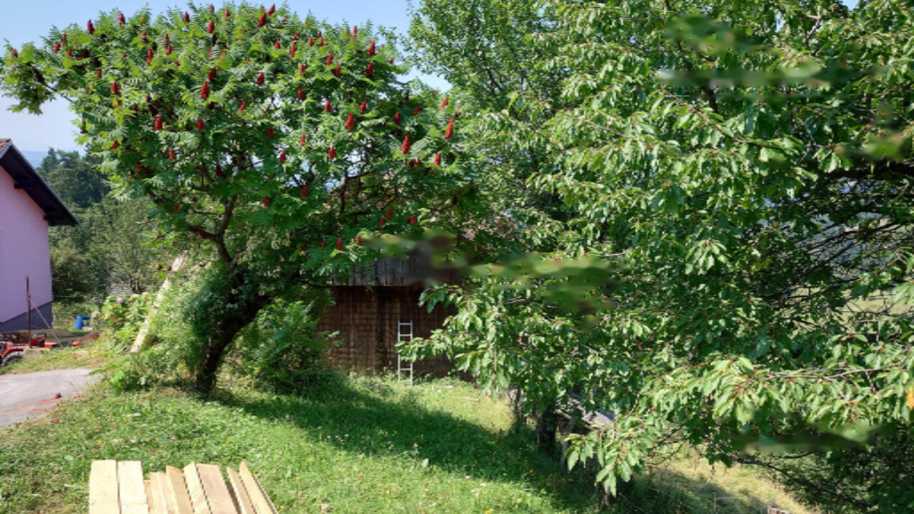 Ферма в Равне-на-Корошкем, Словения, 40 000 м² - фото 1
