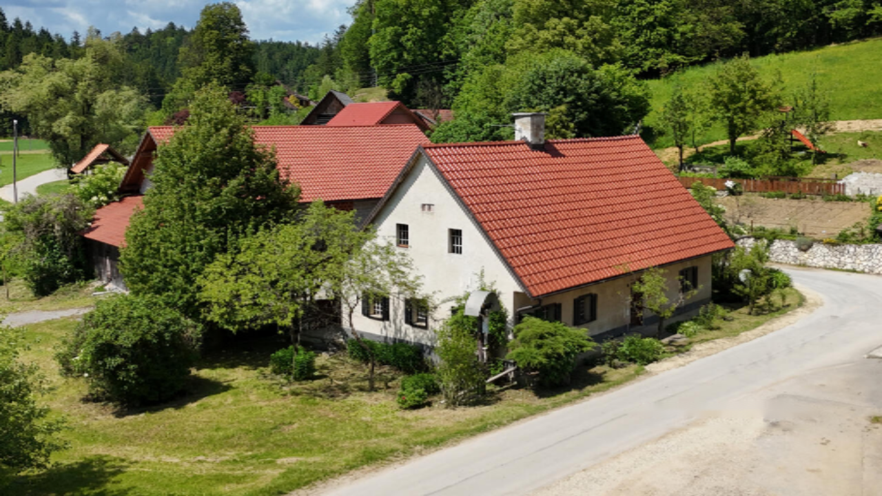 Ферма в Шентерней, Словения, 95 000 м² - фото 1