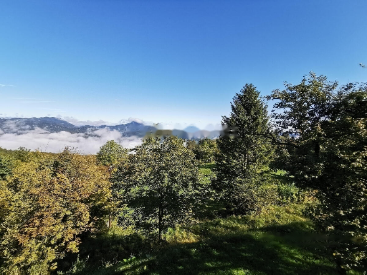 Ферма в Кочевье, Словения, 129 000 м² - фото 2