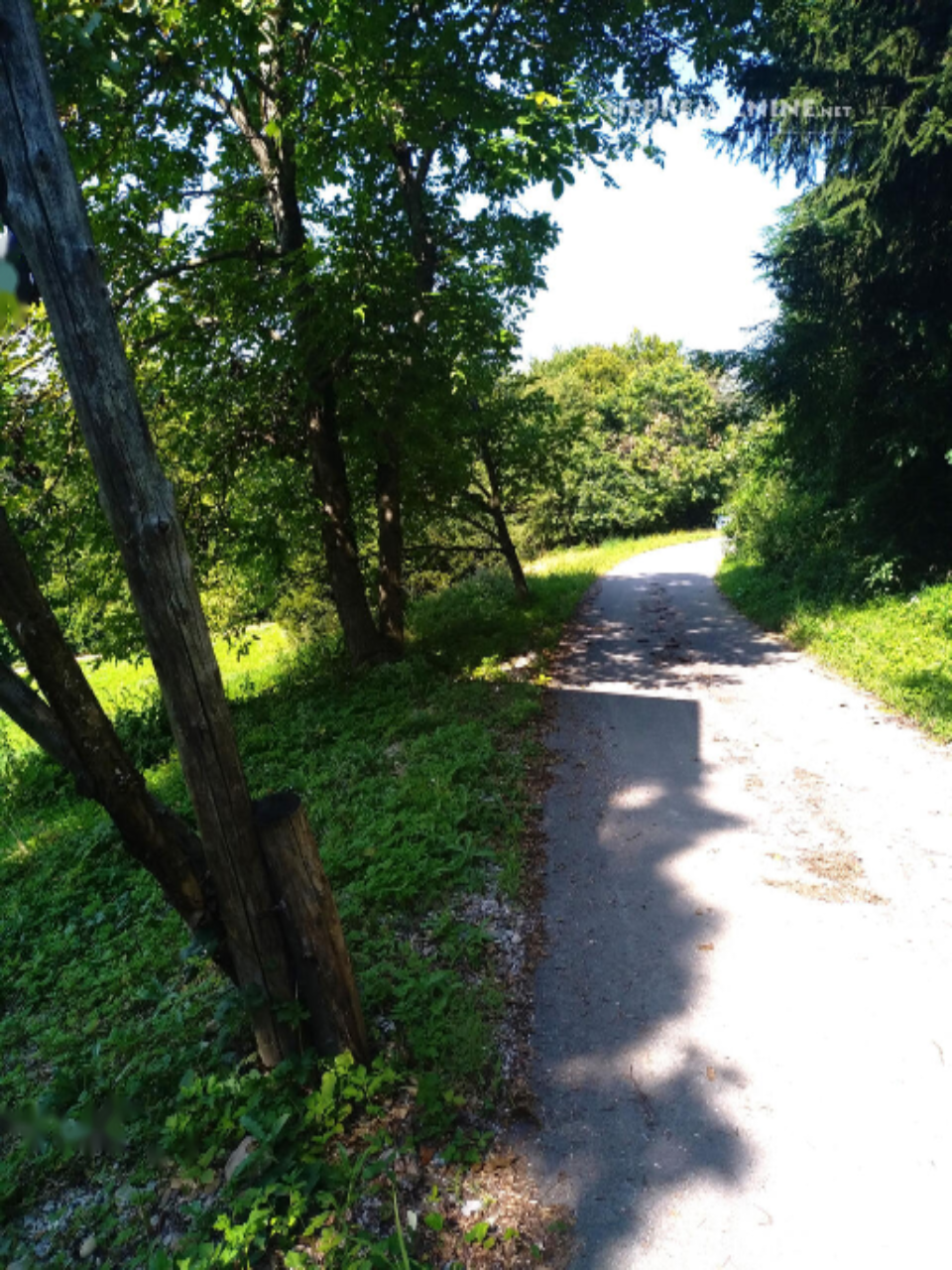 Ферма в Моравче, Словения, 13 062 м² - фото 2