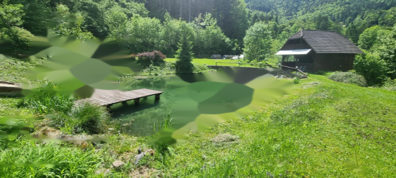 Ферма в Мозирье, Словения, 105 872 м² - фото 2