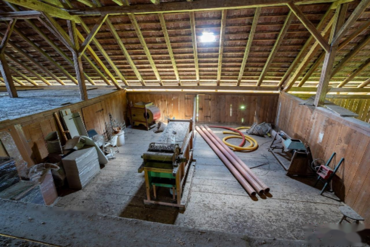 Ферма в Шентюре, Словения, 600 м² - фото 2