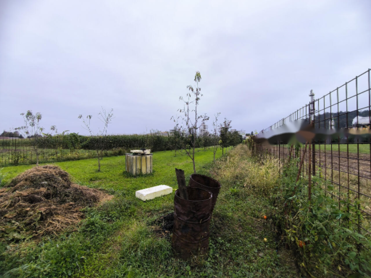 Дом в Любляне, Словения, 252 м² - фото 2