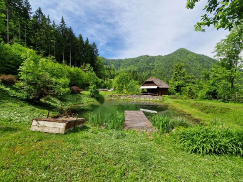 Ферма в Мозирье, Словения, 105 872 м² - фото 3