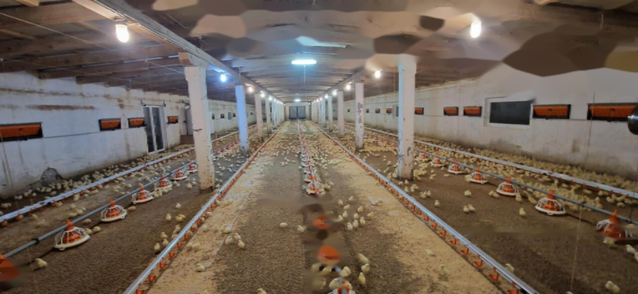 Ферма в Словенска-Бистрице, Словения, 81 802 м² - фото 3