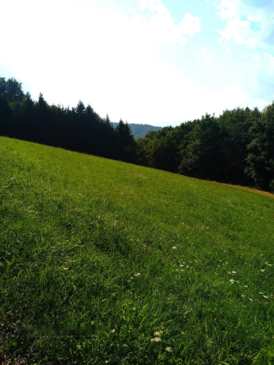 Ферма в Моравче, Словения, 13 062 м² - фото 3