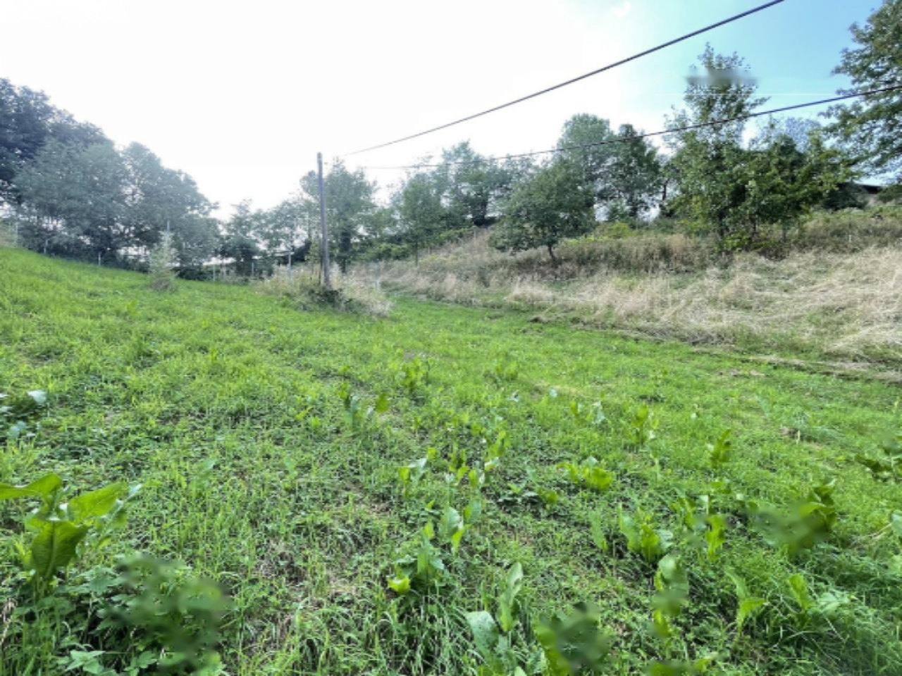 Ферма в Мариборе, Словения, 67 791 м² - фото 3