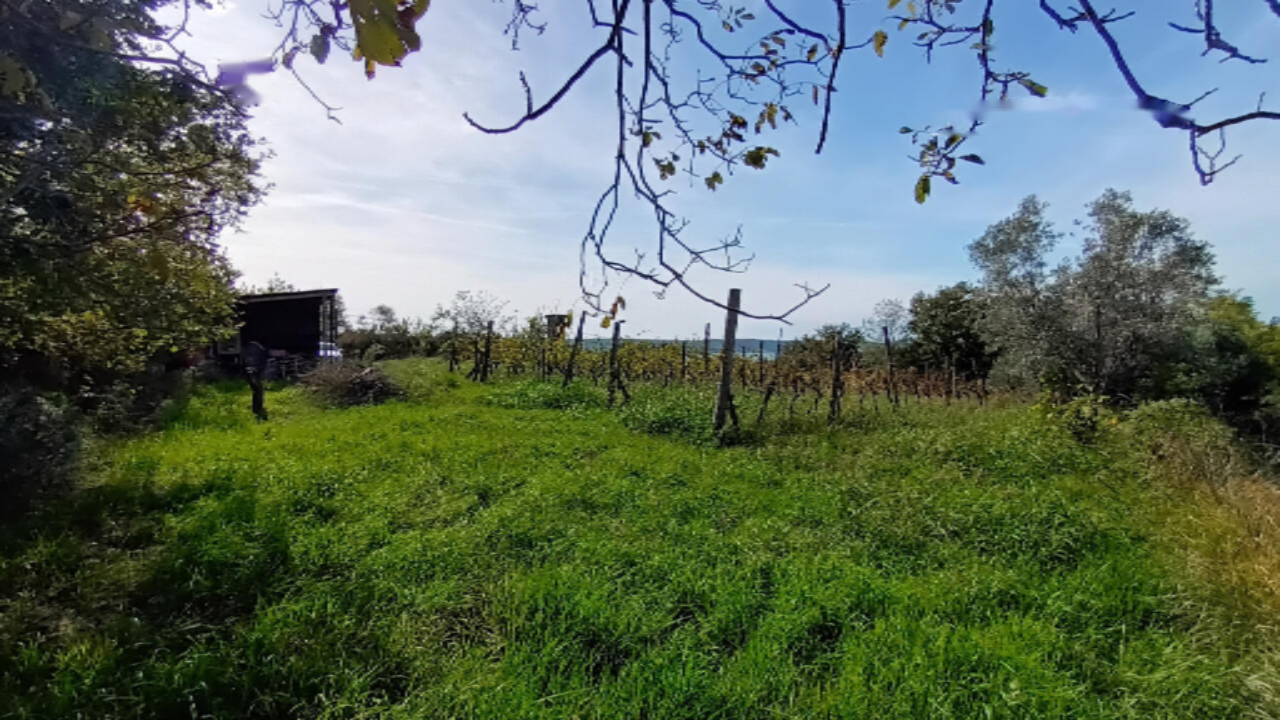 Ферма в Портороже, Словения, 2 121 м² - фото 3