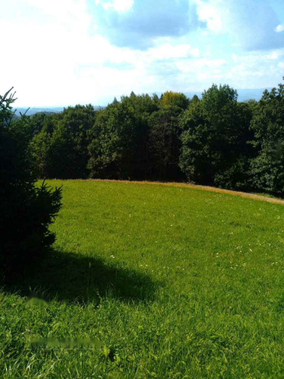 Ферма в Моравче, Словения, 13 062 м² - фото 4