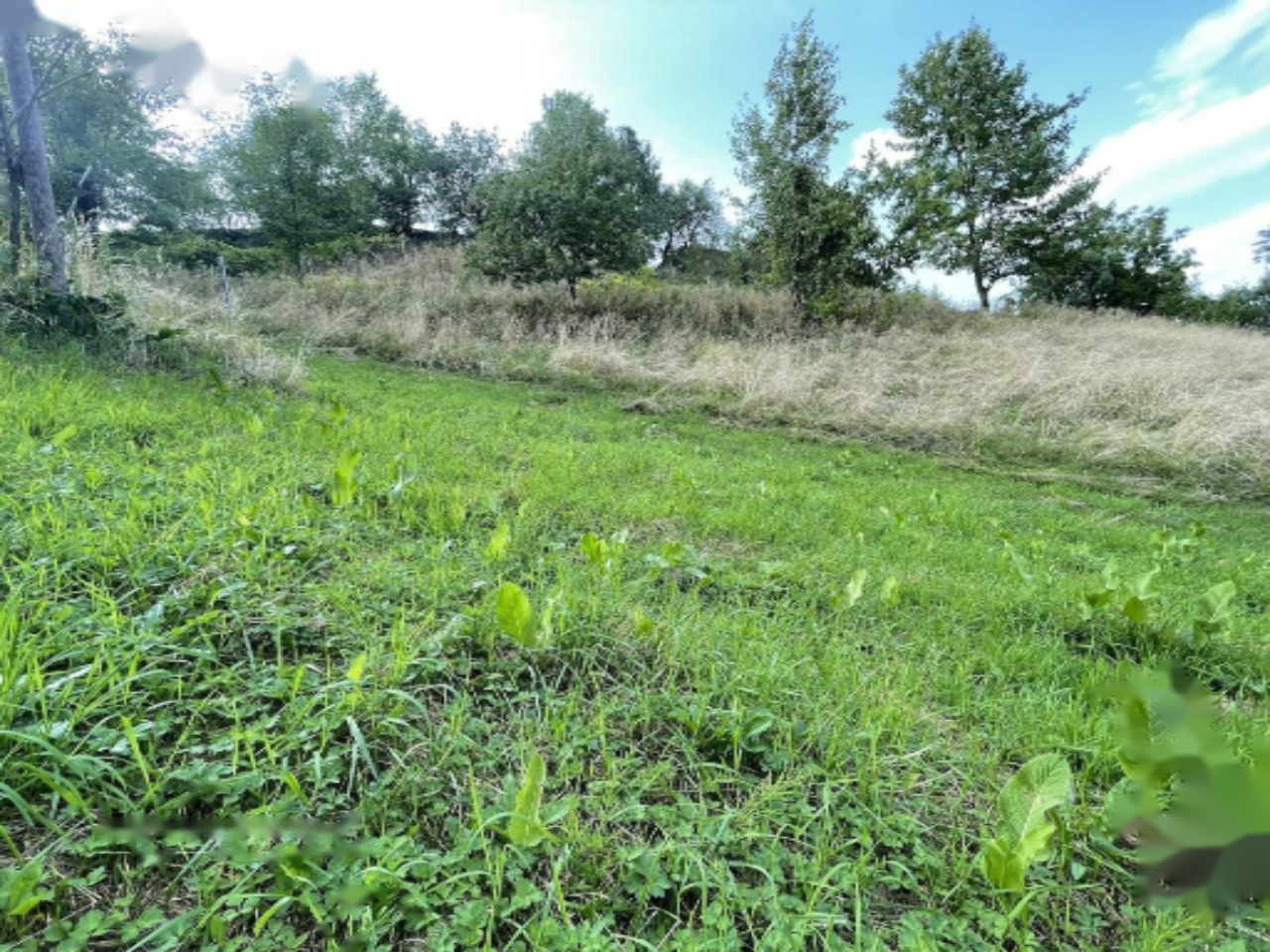 Ферма в Мариборе, Словения, 67 791 м² - фото 4