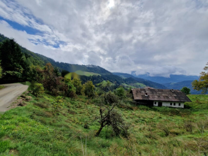 Ферма в Муте, Словения, 131 726 м² - фото 4