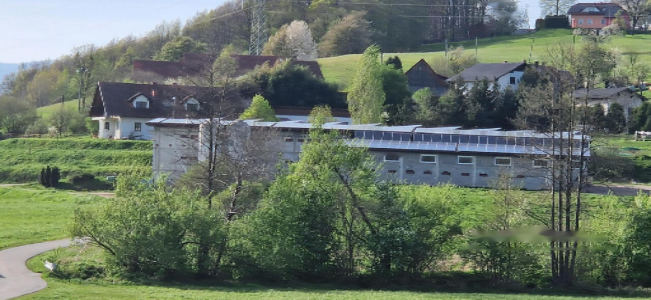 Ферма в Словенска-Бистрице, Словения, 81 802 м² - фото 5