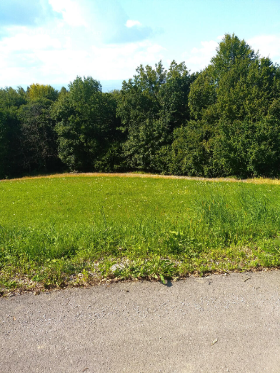 Ферма в Моравче, Словения, 13 062 м² - фото 5