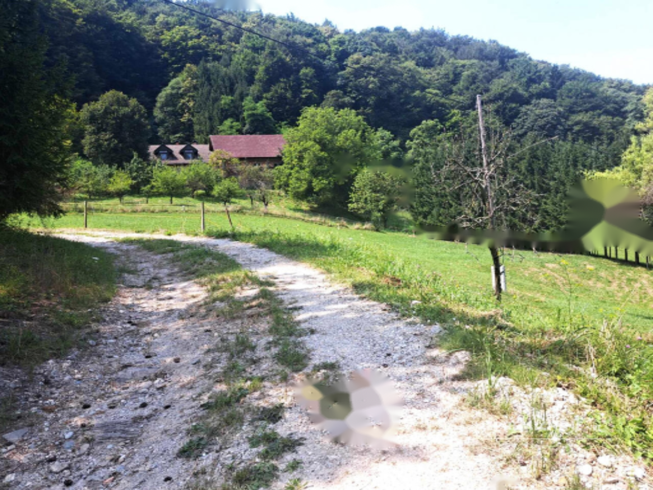 Ферма в Камнике, Словения, 96 595 м² - фото 5