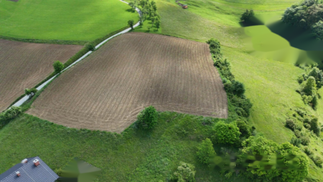 Ферма в Жалеце, Словения, 80 000 м² - фото 5