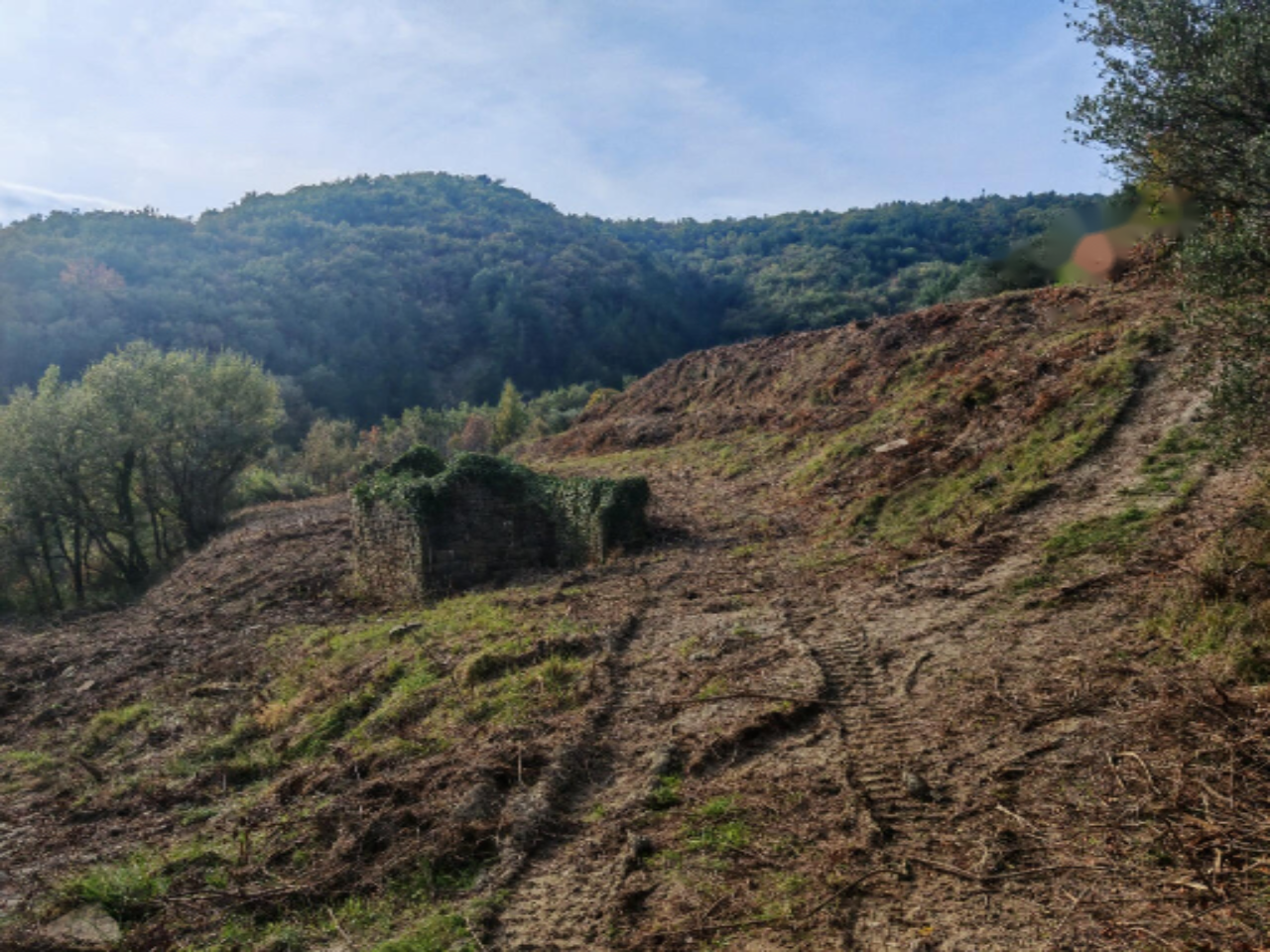 Ферма в Копере, Словения, 5 990 м² - фото 5