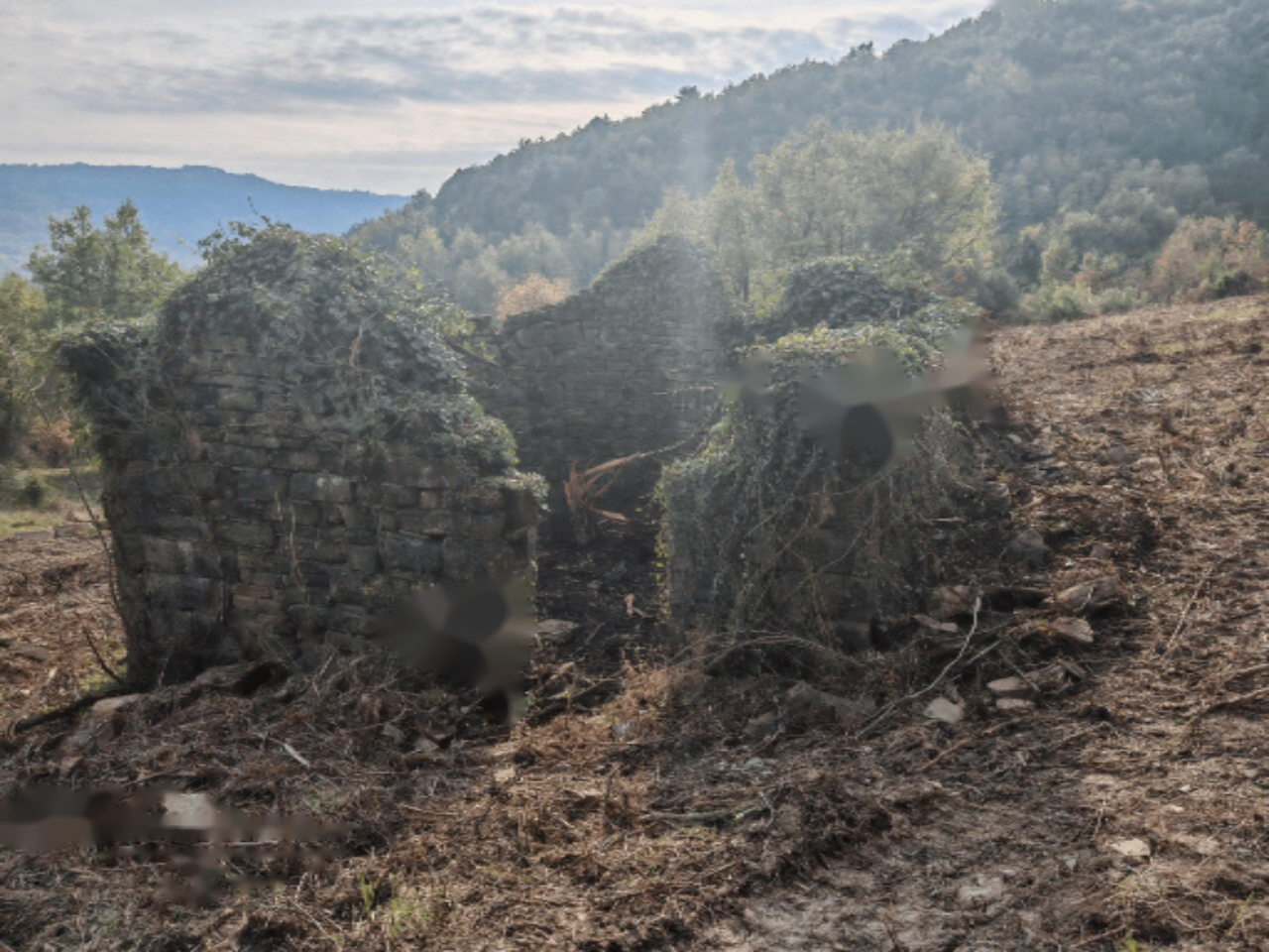 Ферма в Копере, Словения, 5 990 м² - фото 6