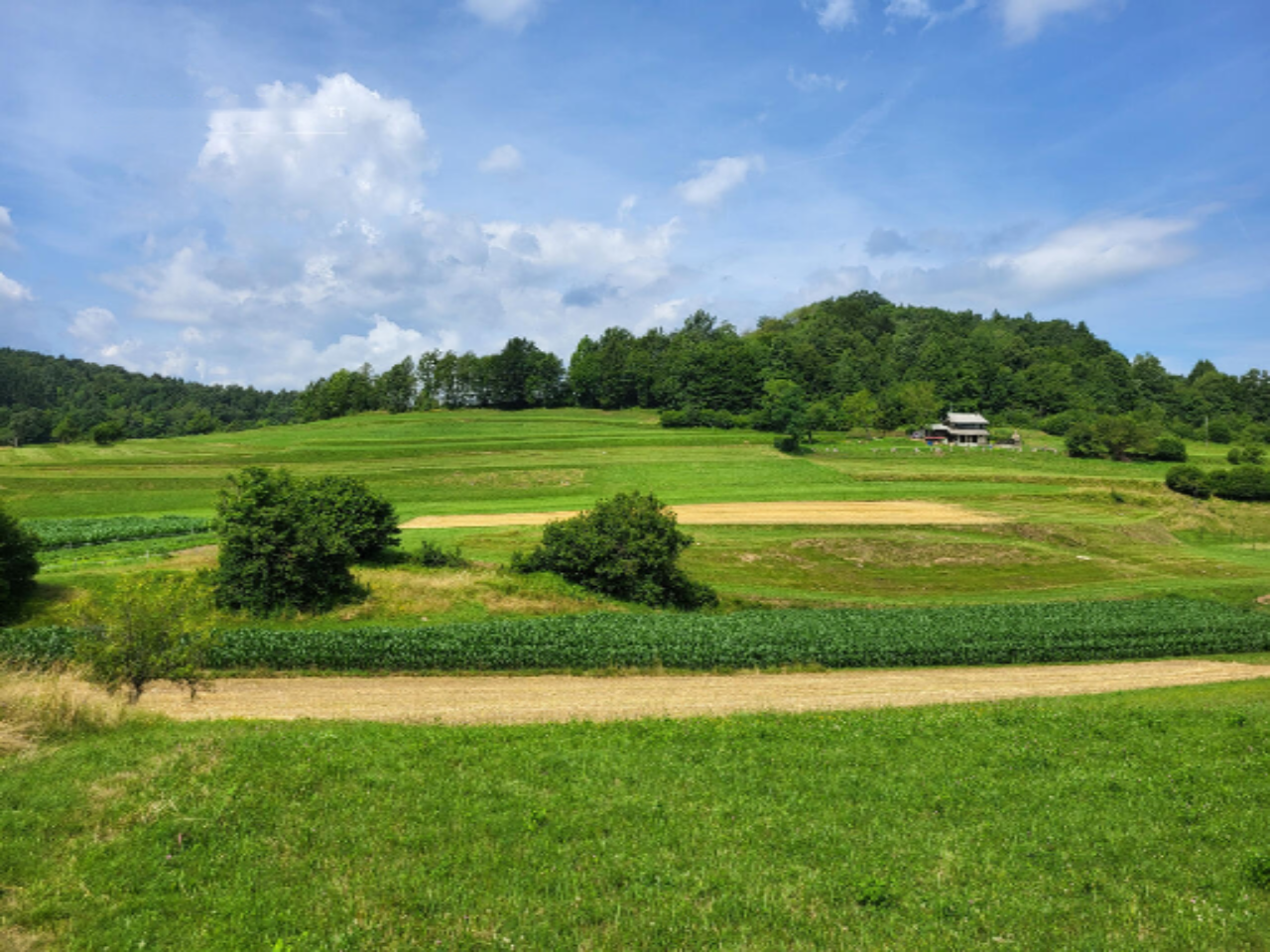 Ферма в Ново-Место, Словения, 130 460 м² - фото 6