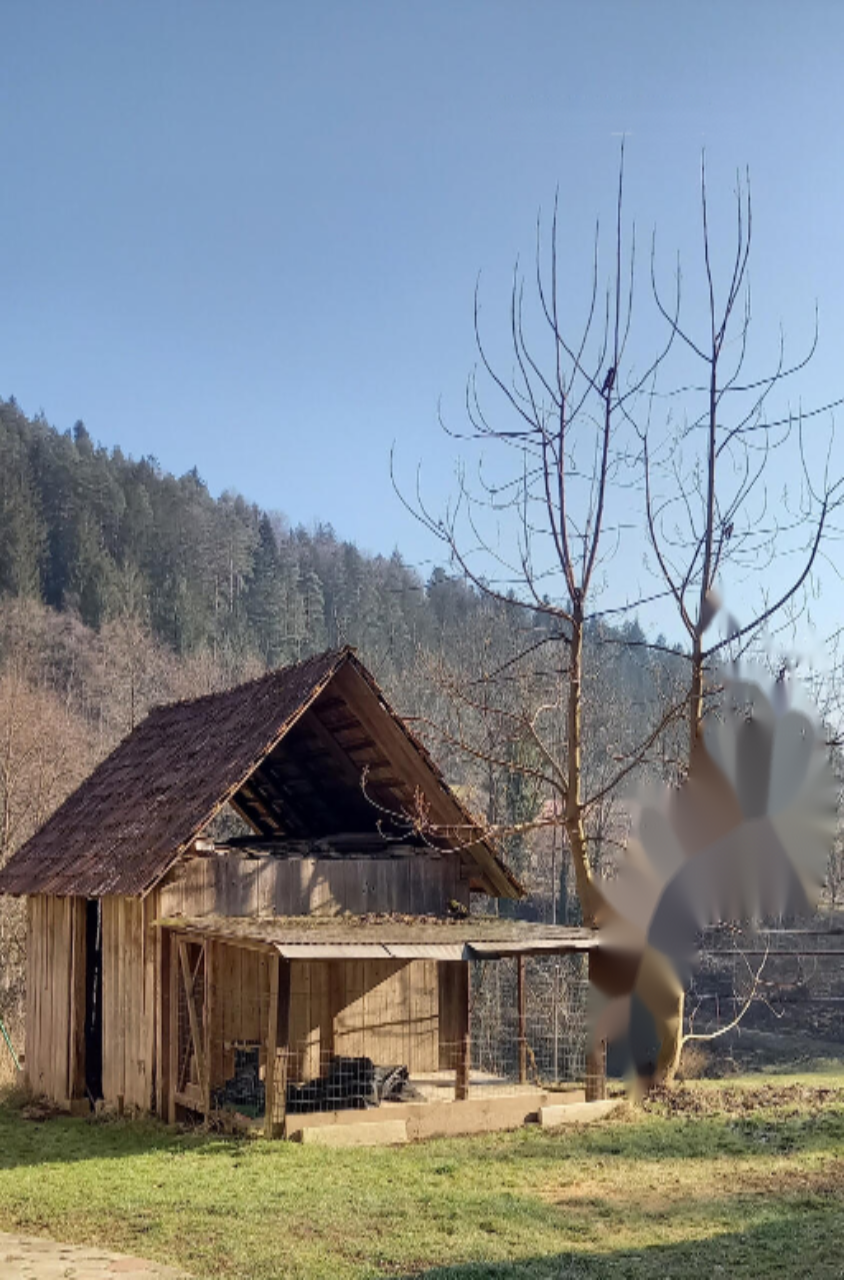 Ферма в Дравограде, Словения, 11 816 м² - фото 6