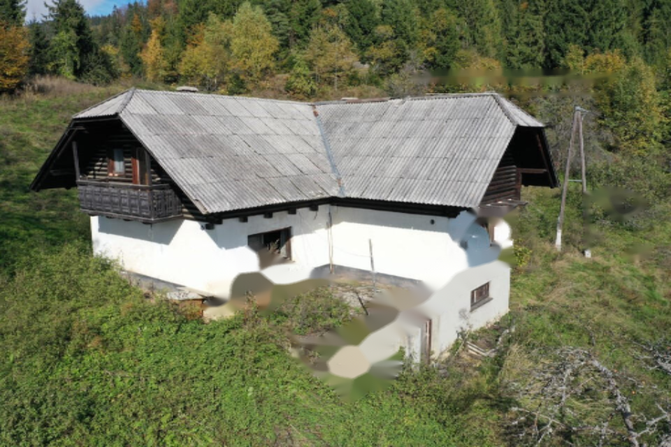 Ферма в Муте, Словения, 131 726 м² - фото 7