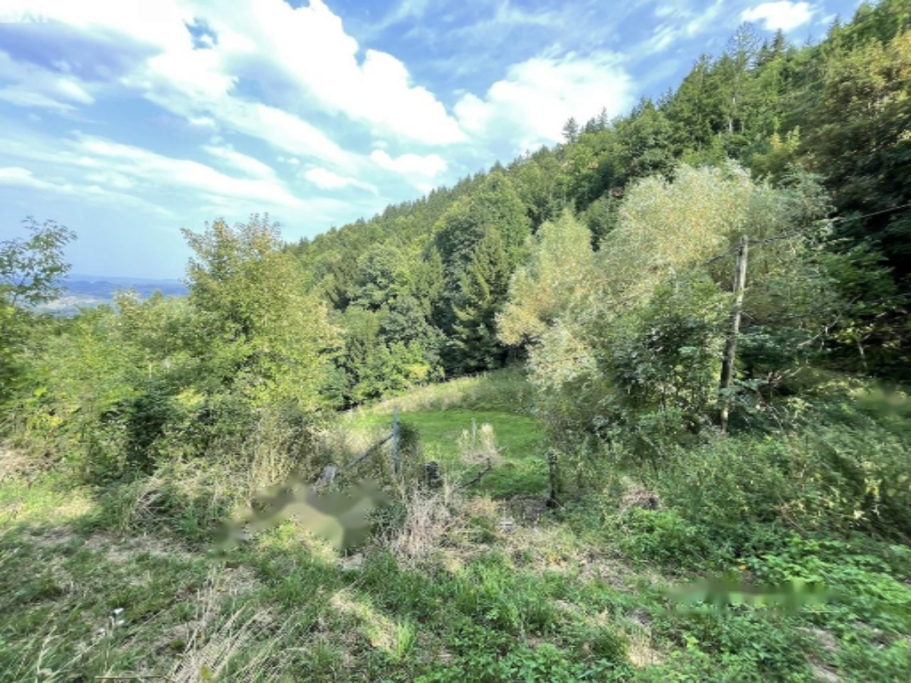 Ферма в Мариборе, Словения, 67 791 м² - фото 7