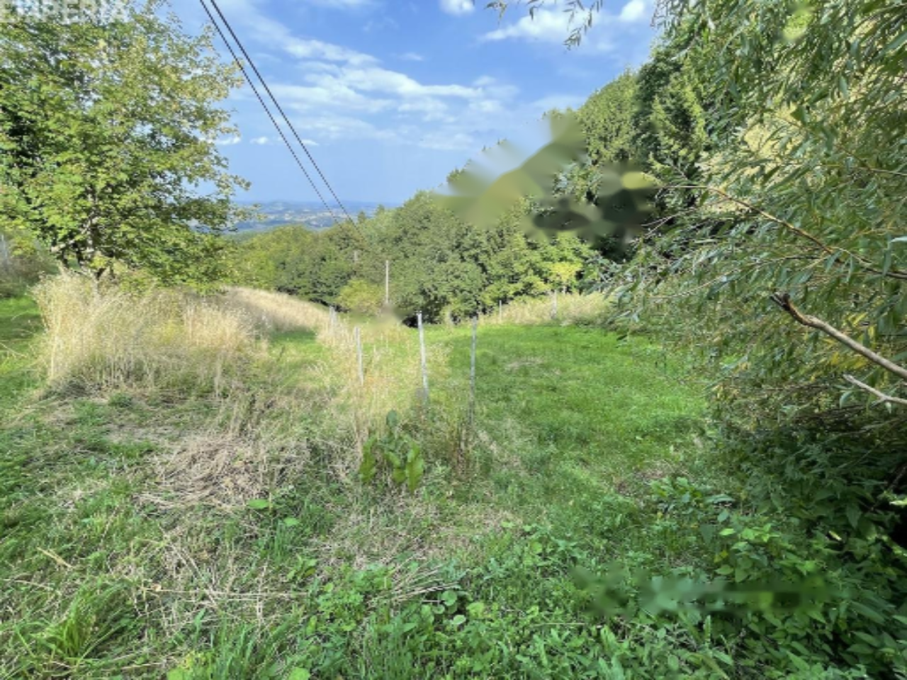 Ферма в Мариборе, Словения, 67 791 м² - фото 8