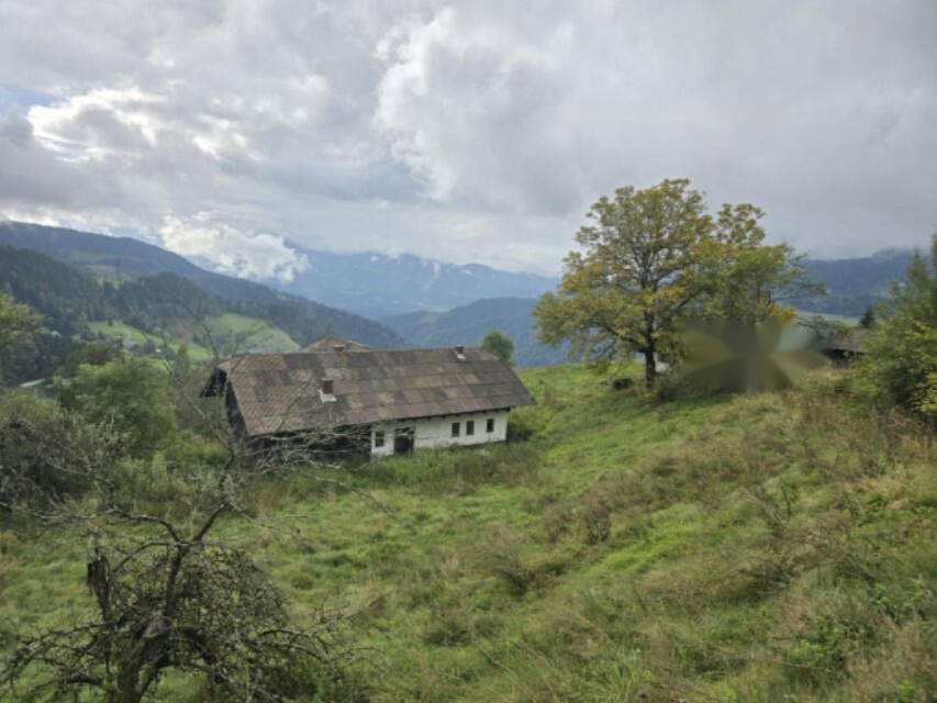 Ферма в Муте, Словения, 131 726 м² - фото 9